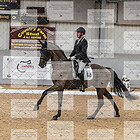 Class 14 Medium Gold Part 2