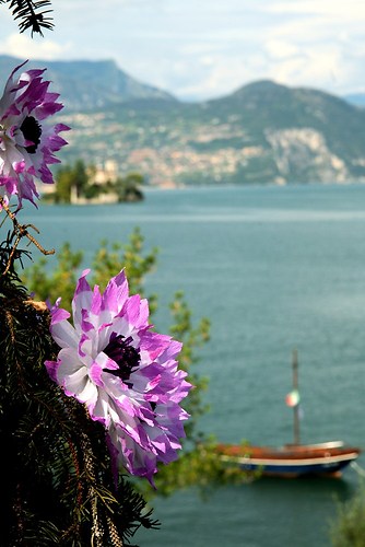 Iseo-10-IV- 154Aa-1000
