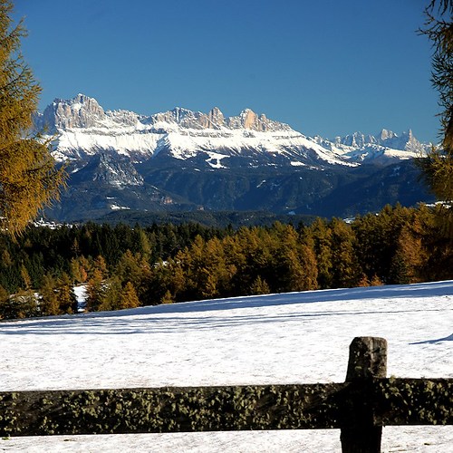 Lana 10-I- 052 Aa-800 Mölten Rosengarten