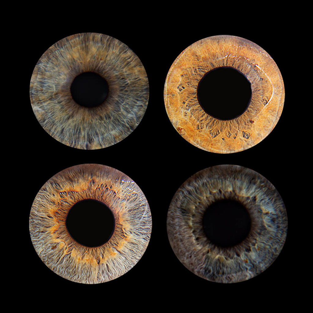 Auge-4er-quadratisch