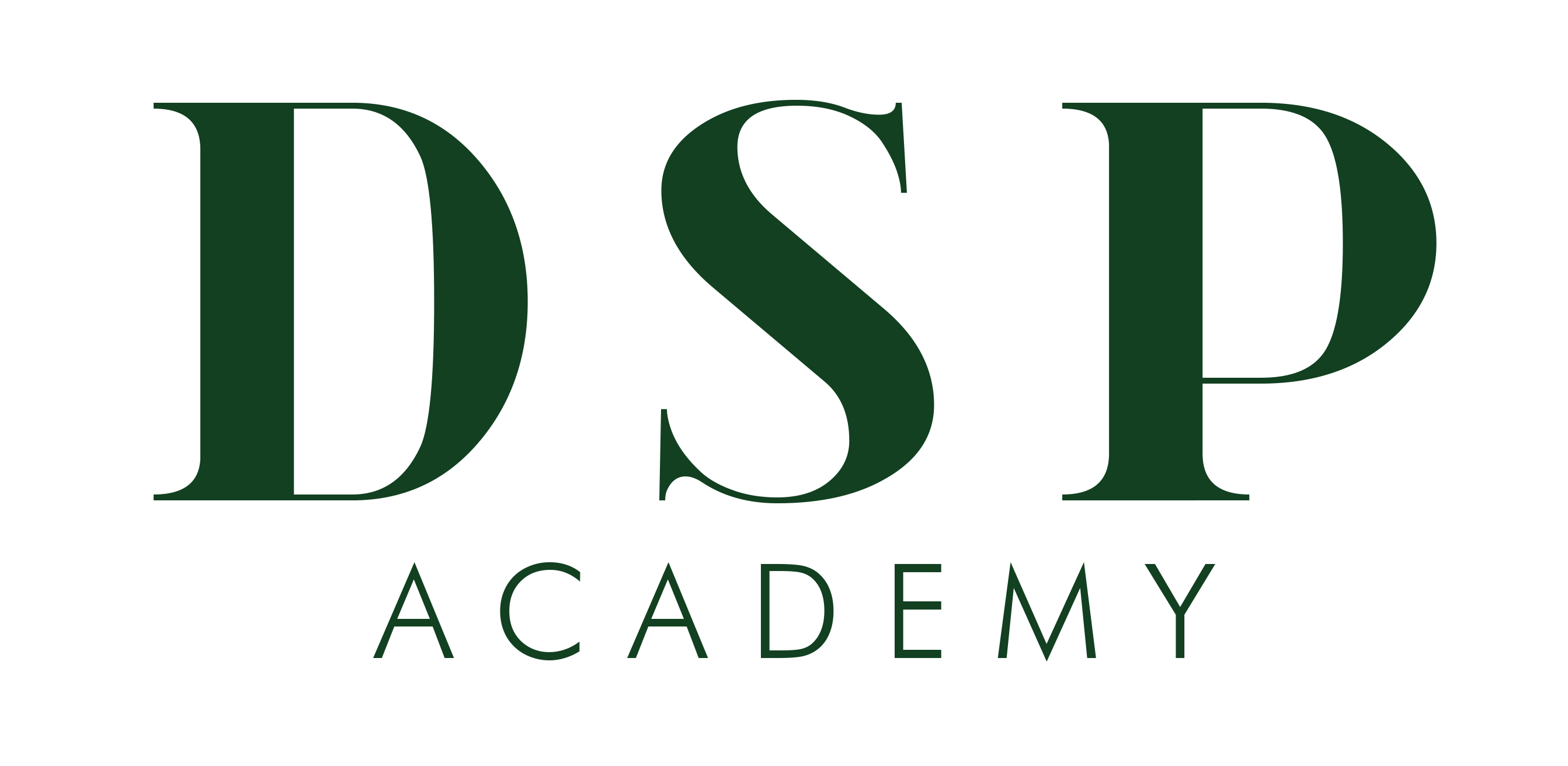DSP Academy