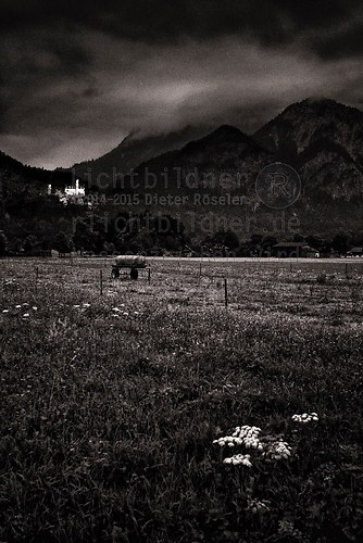2002 | Schwangau | Schloss Neuschwanstein