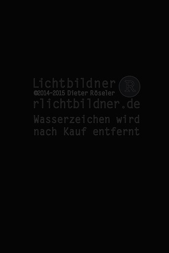 2013 | Potsdam | Schloss Sanssouci (SansSouci)