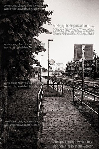 2011 | Trassenheide | Bahnhof Gleis 1