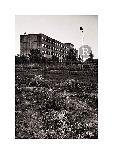 2000 | Saßnitz-Mukran auf Rügen | 10 Jahre "Blühende Landschaften"