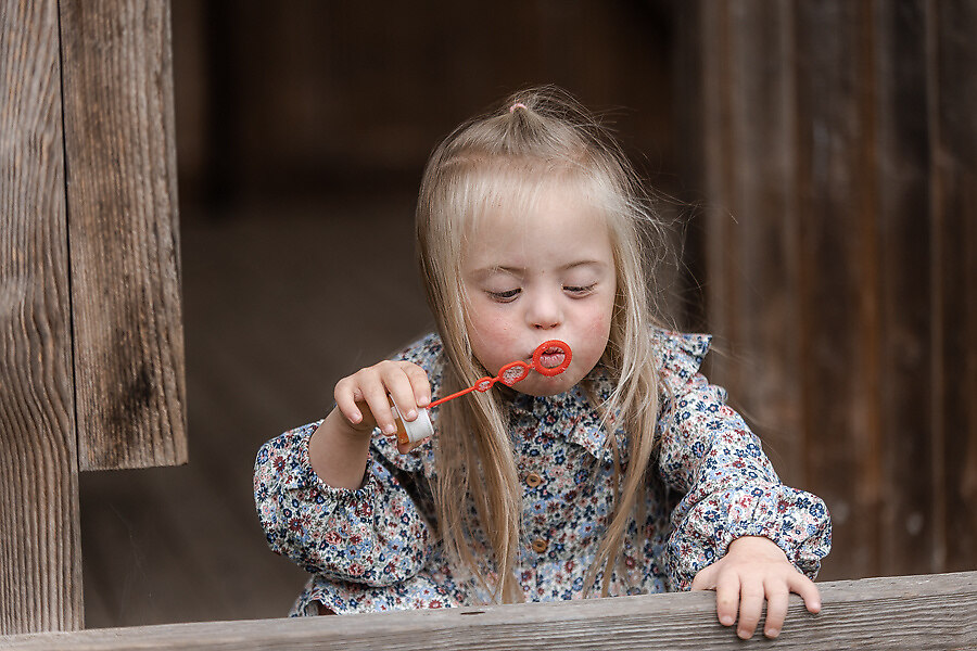 688A1086_preview