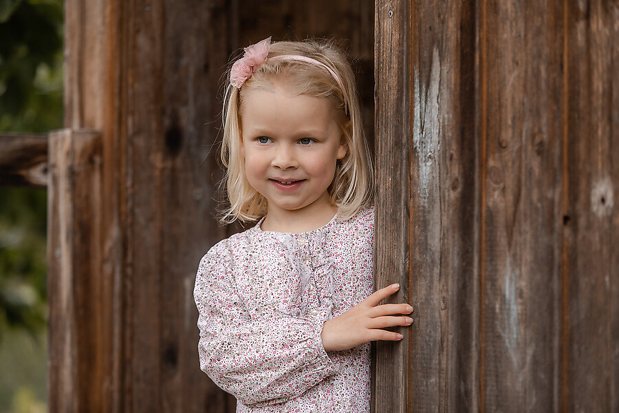 BAAR3438_preview