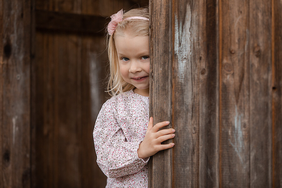 BAAR3420_preview
