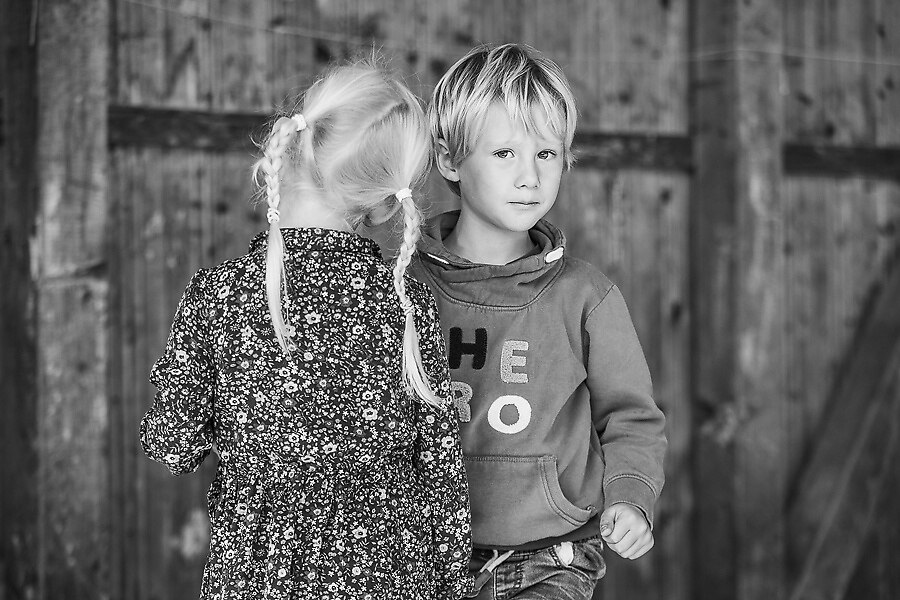 688A2490_preview