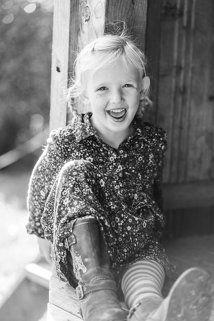 688A2463_preview