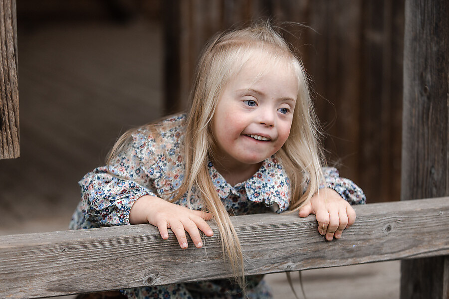688A1056_preview