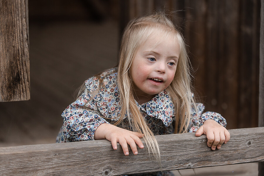 688A1057_preview