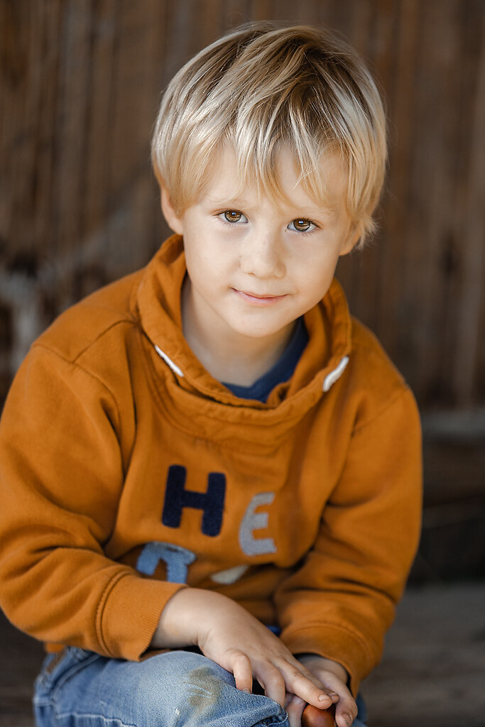 688A2521_preview