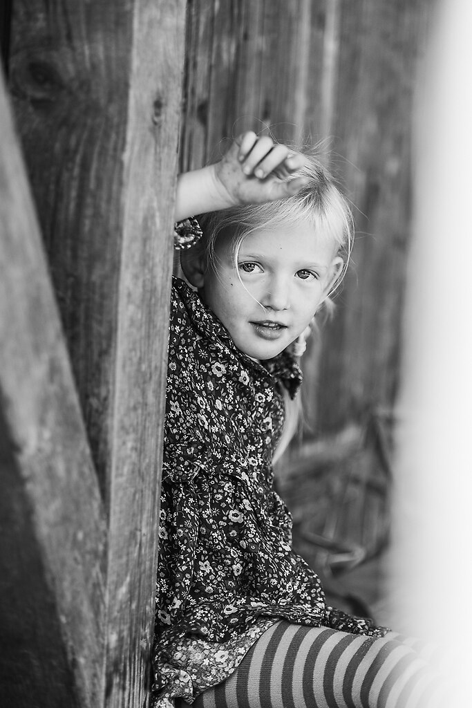 688A2482_preview