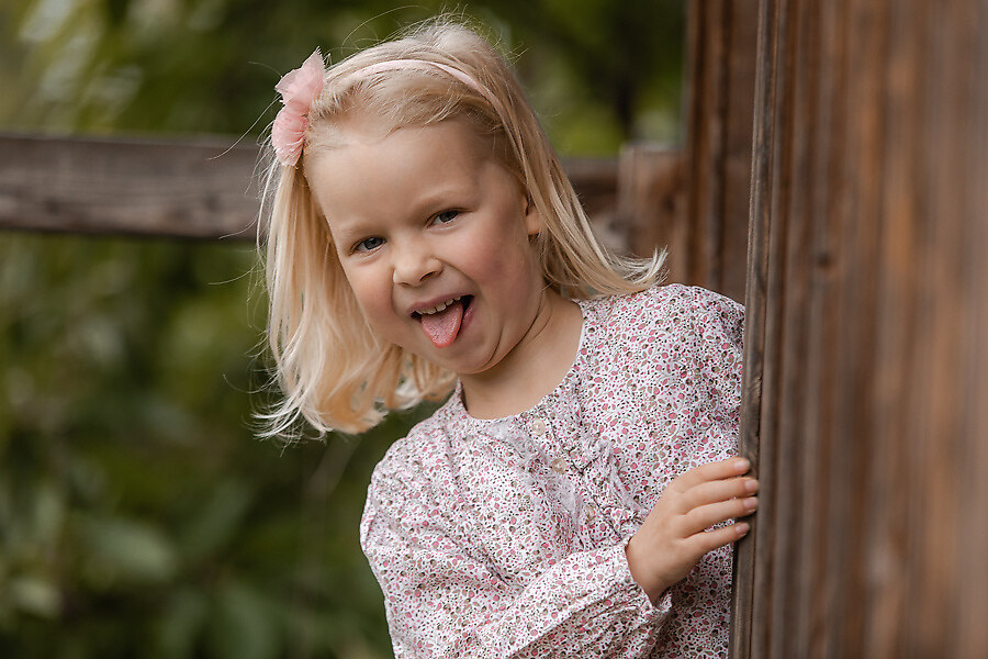 BAAR3441_preview