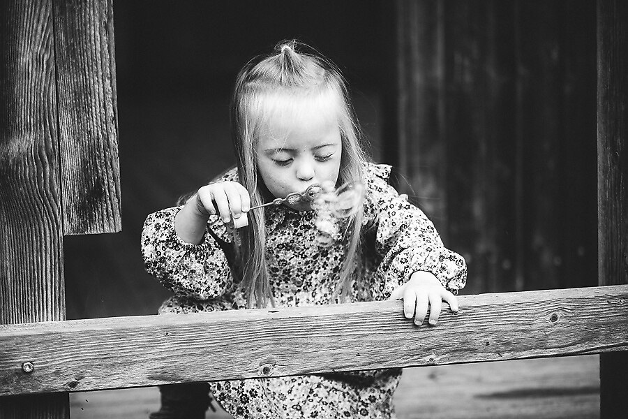 688A1082_preview