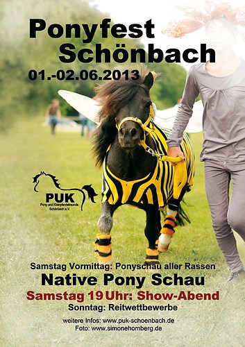 (c)SimoneHomberg_Plakat-Ponyfest-Schönbach-2013