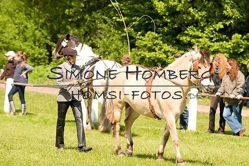 (c)SimoneHomberg_Ponyfest_2013_0048
