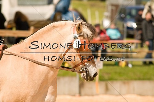 (c)SimoneHomberg_Ponyfest_2013_0052
