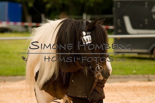 (c)SimoneHomberg_Ponyfest_2013_0130