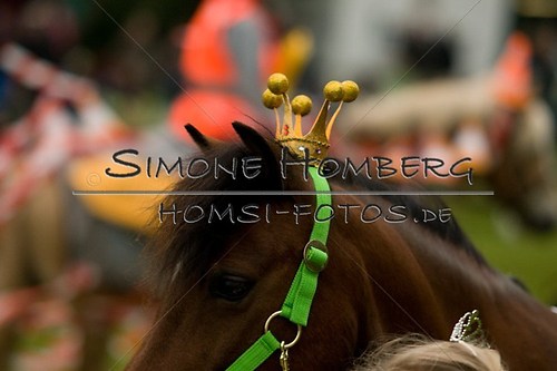 (c)SimoneHomberg_Ponyfest_2013_0723