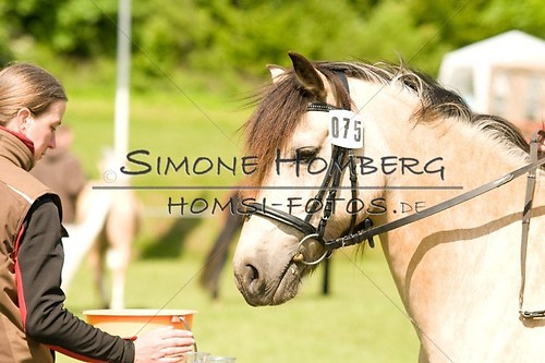 (c)SimoneHomberg_Ponyfest_2013_0035