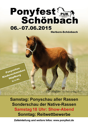 Ponyfest-Schönbach-2015