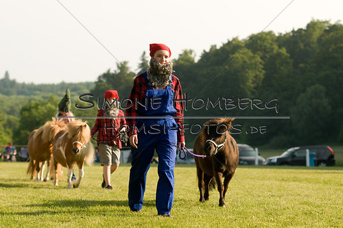 (c)SimoneHomberg_Ponyfest_Sa_20150606_0438