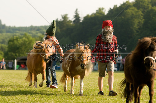 (c)SimoneHomberg_Ponyfest_Sa_20150606_0439