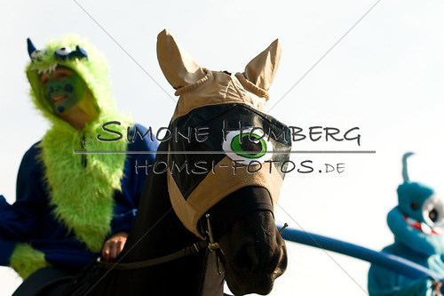 (c)SimoneHomberg_Ponyfest_Sa_20150606_0450