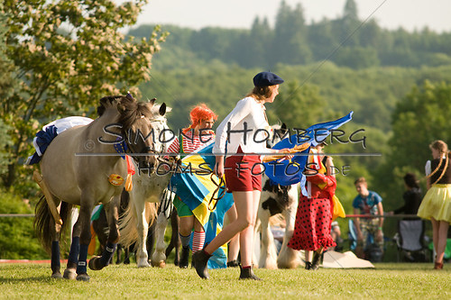 (c)SimoneHomberg_Ponyfest_Sa_20150606_0462