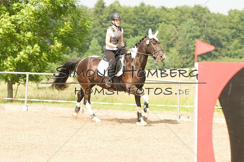 (c)SimoneHomberg_Ponyfest_Sa_20150606_0309