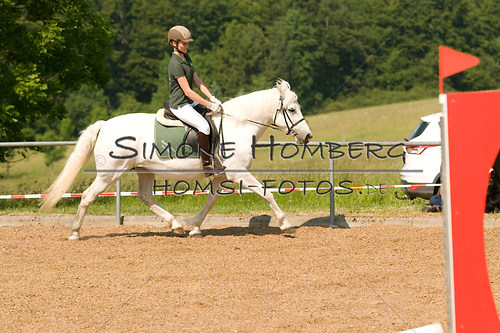 (c)SimoneHomberg_Ponyfest_Sa_20150606_0353