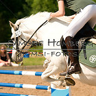 WB 14 Kombi Dressur/ SpringWB