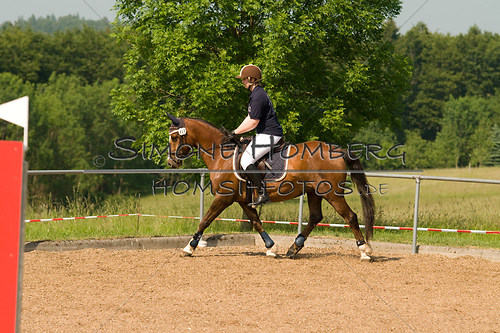 (c)SimoneHomberg_Ponyfest_Sa_20150606_0367