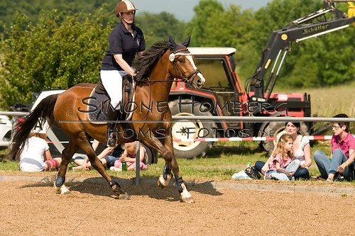 (c)SimoneHomberg_Ponyfest_Sa_20150606_0372