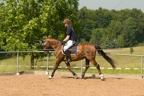 (c)SimoneHomberg_Ponyfest_Sa_20150606_0376