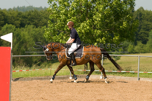 (c)SimoneHomberg_Ponyfest_Sa_20150606_0377