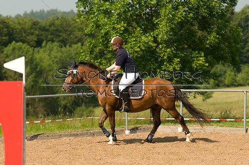 (c)SimoneHomberg_Ponyfest_Sa_20150606_0384