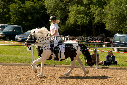 (c)SimoneHomberg_Ponyfest_Sa_20150606_0400