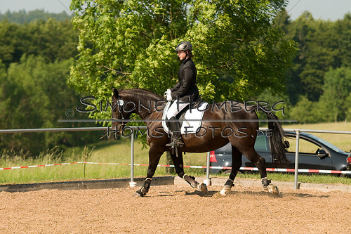 (c)SimoneHomberg_Ponyfest_Sa_20150606_0416