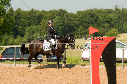 (c)SimoneHomberg_Ponyfest_Sa_20150606_0417