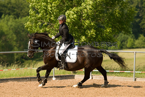 (c)SimoneHomberg_Ponyfest_Sa_20150606_0419