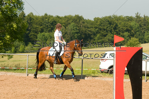 (c)SimoneHomberg_Ponyfest_Sa_20150606_0422