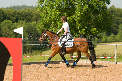 (c)SimoneHomberg_Ponyfest_Sa_20150606_0424