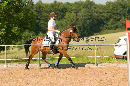 (c)SimoneHomberg_Ponyfest_Sa_20150606_0425