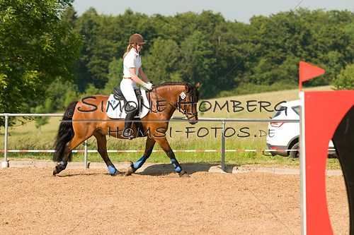 (c)SimoneHomberg_Ponyfest_Sa_20150606_0427