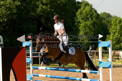 (c)SimoneHomberg_Ponyfest_Sa_20150606_0429