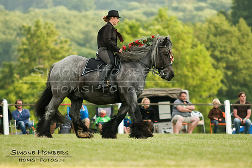 (c)SimoneHomberg_Ponyfest_Schauprogramm_20150606_0160
