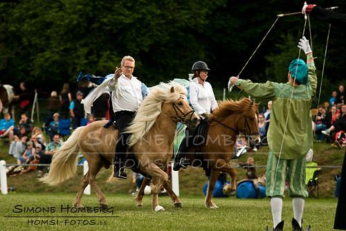 (c)SimoneHomberg_Ponyfest_Schauprogramm_20150606_0396